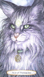 Soul Cats Tarot