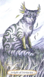 Soul Cats Tarot