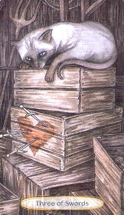 Soul Cats Tarot