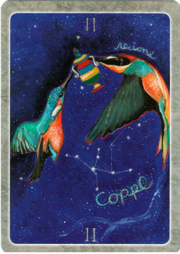 Secret Language of Birds Tarot