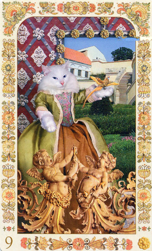 Baroque Bohemian Cats