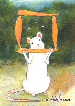 The TaRat (Rat Tarot) by Nakisha VanderHoeven