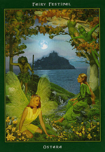 Fairy Ring Oracle