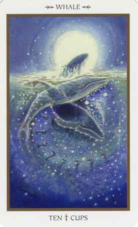 Animals Divine Tarot