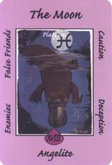 Australian Animal Tarot