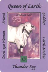 Australian Animal Tarot