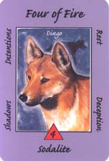 Australian Animal Tarot