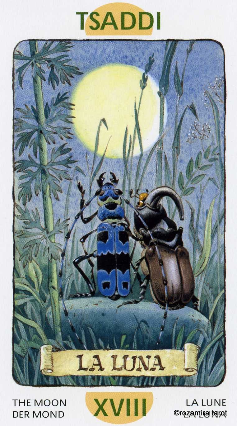 Gnomes Tarot