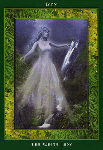 Fairy Ring Oracle