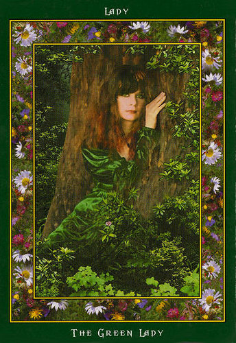 Fairy Ring Oracle