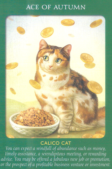 Animal Tarot Cards