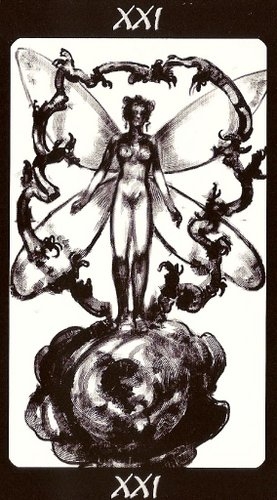 Tarot of the Secret Forest