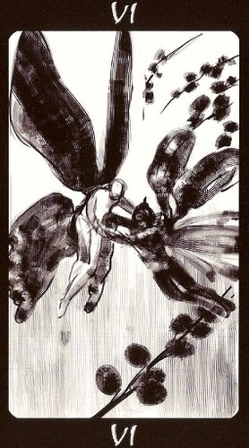 Tarot of the Secret Forest