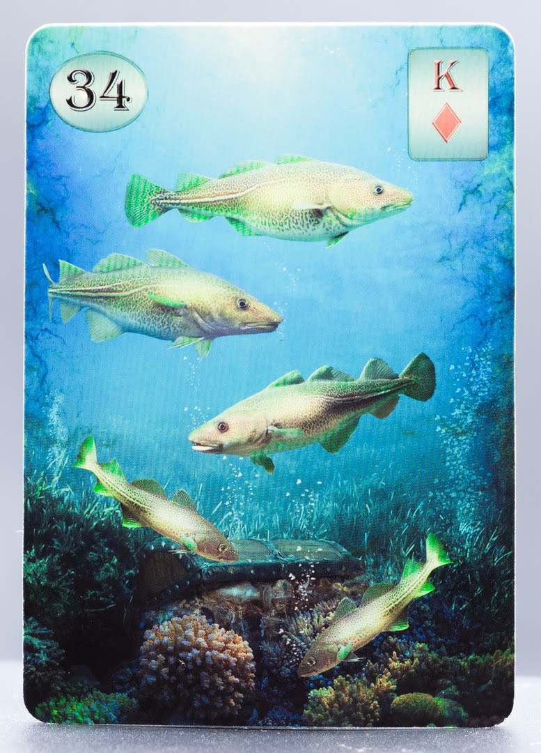 Thelema Lenormand Oracle