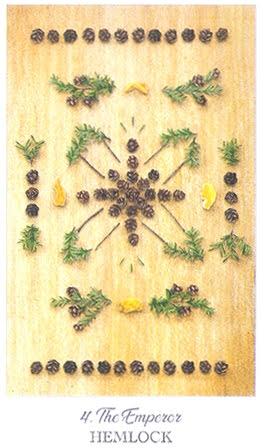 The Herbcrafter’s Tarot