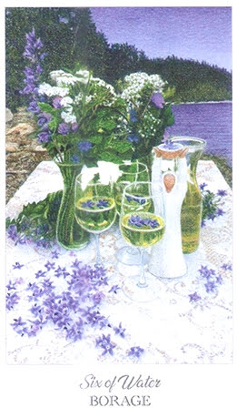 The Herbcrafter’s Tarot