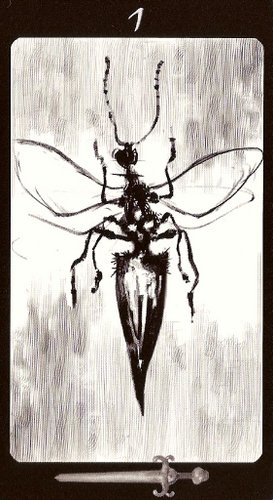 Tarot of the Secret Forest