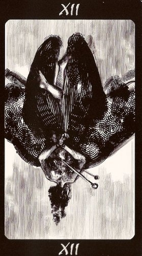 Tarot of the Secret Forest