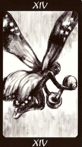 Tarot of the Secret Forest