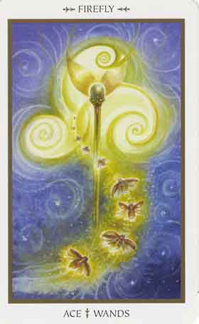 Animals Divine Tarot