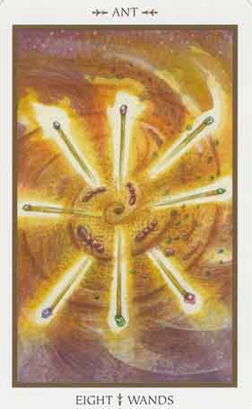 Animals Divine Tarot