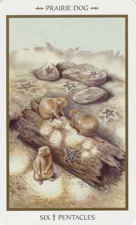 Animals Divine Tarot