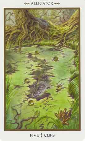 Animals Divine Tarot