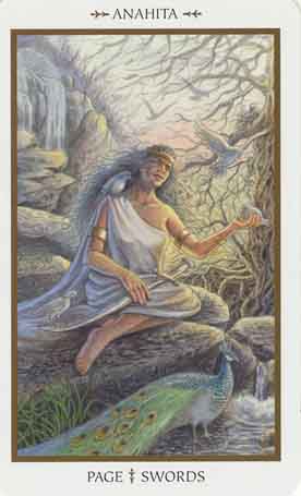 Animals Divine Tarot