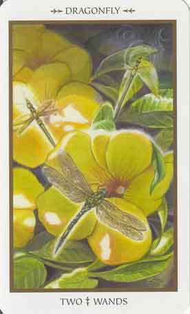 Animals Divine Tarot