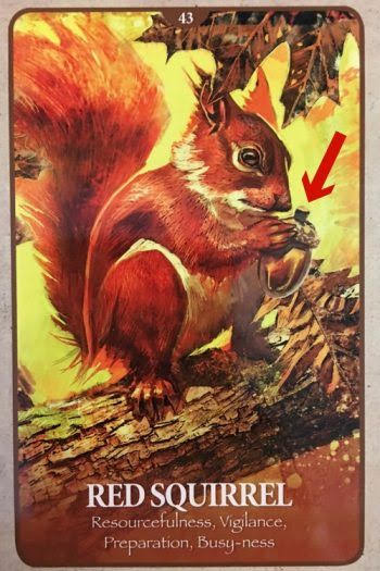 Secret Language of Animals Oracle - Оракул Тайный Язык Животных