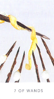 White Sage Tarot