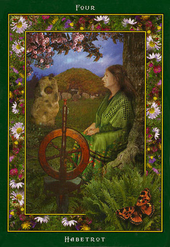 Fairy Ring Oracle