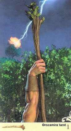 Viceversa Tarot