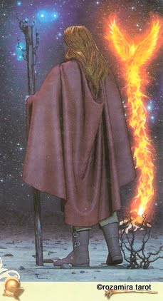 Viceversa Tarot