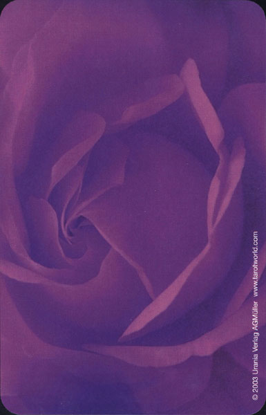 Universal Love by Toni Carmine Salerno