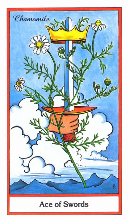 Herbal