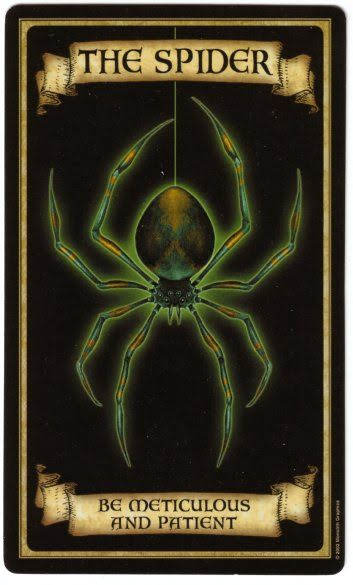 Madame Endora's Fortune Cards