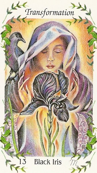 Flower Speaks Deck