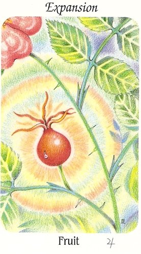 Flower Speaks Deck