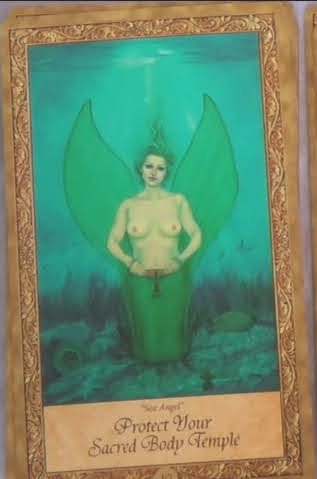 Art Through the Starstream Oracle