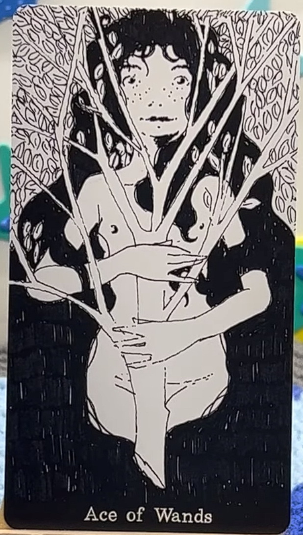 Disorder Tarot of Innocence