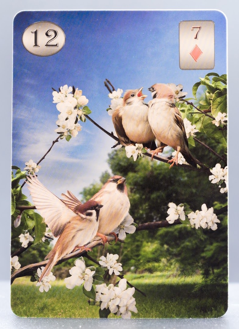 Thelema Lenormand Oracle