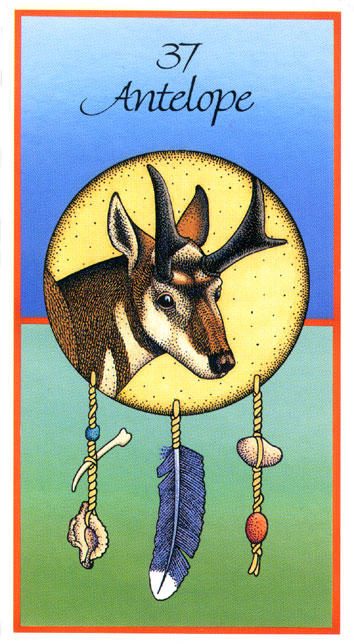 Medicine Cards - Целительные Карты