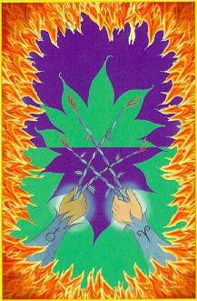 Aura Soma Tarot