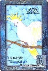 Animal Dreaming Oracle