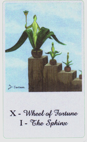 Analytical Tarot