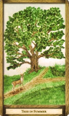 Hidden Path Cards