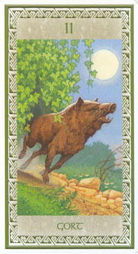 Celtic Oracle