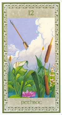 Celtic Oracle