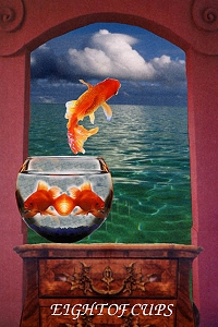 Animal Tarot